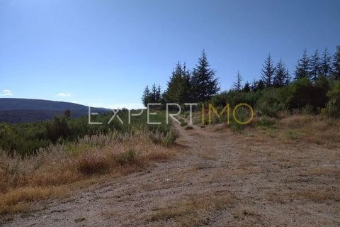 Farm i Guarda, Guarda, Guarda - € 36.500 | Ref: MC_035_MCAR - foto 2