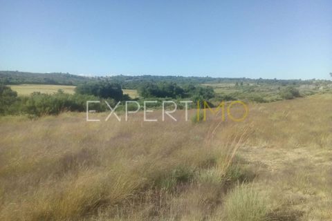 Farm i Guarda, Guarda, Guarda - € 36.500 | Ref: MC_035_MCAR - foto 5