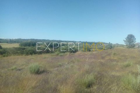 Farm i Guarda, Guarda, Guarda - € 36.500 | Ref: MC_035_MCAR - foto 6