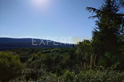 Farm i Guarda, Guarda, Guarda - € 36.500 | Ref: MC_035_MCAR - foto 7