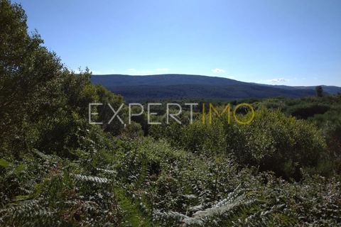Farm i Guarda, Guarda, Guarda - € 36.500 | Ref: MC_035_MCAR - foto 8