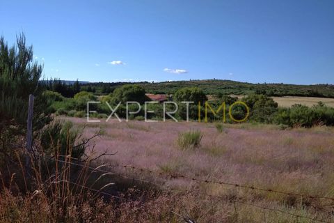 Farm i Guarda, Guarda, Guarda - € 36.500 | Ref: MC_035_MCAR - foto 9