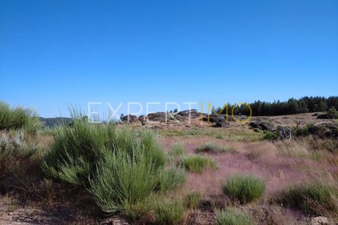Farm i Guarda, Guarda, Guarda - € 36.500 | Ref: MC_035_MCAR - foto 11