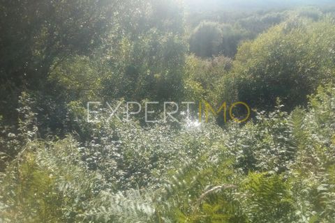 Farm i Guarda, Guarda, Guarda - € 36.500 | Ref: MC_035_MCAR - foto 12