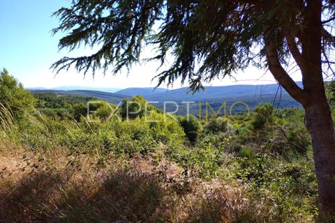 Farm i Guarda, Guarda, Guarda - € 36.500 | Ref: MC_035_MCAR - foto 13