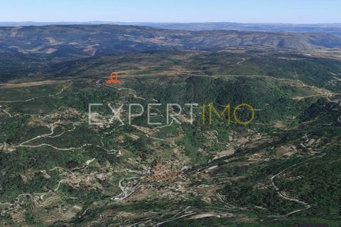 Farm i Guarda, Guarda, Guarda - € 36.500 | Ref: MC_035_MCAR - foto 15