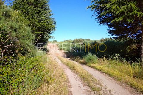 Farm i Guarda, Guarda, Guarda - € 36.500 | Ref: MC_035_MCAR - foto 16