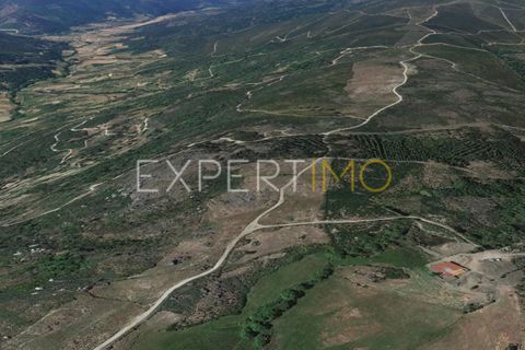 Farm i Guarda, Guarda, Guarda - € 36.500 | Ref: MC_035_MCAR - foto 17