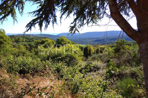 Farm i Guarda, Guarda, Guarda - € 36.500 | Ref: MC_035_MCAR - foto 19