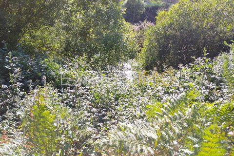 Farm i Guarda, Guarda, Guarda - € 36.500 | Ref: MC_035_MCAR - foto 20