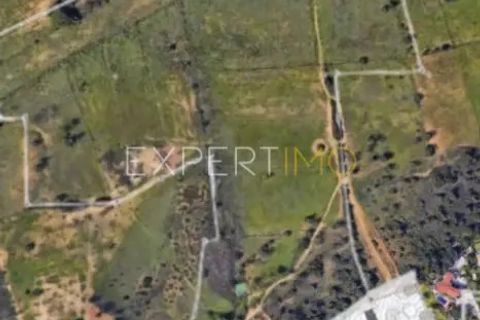 Villa a Algoz, Faro, Algoz - € 1.090.000 | Ref: ALGARVE_1 - foto 44