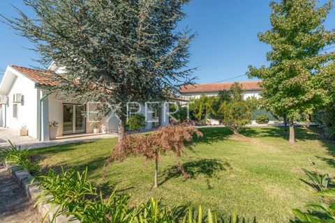 Villa a Mealhada, Aveiro, Mealhada - € 725.000 | Ref: MOR_2627_JMPE - foto 9