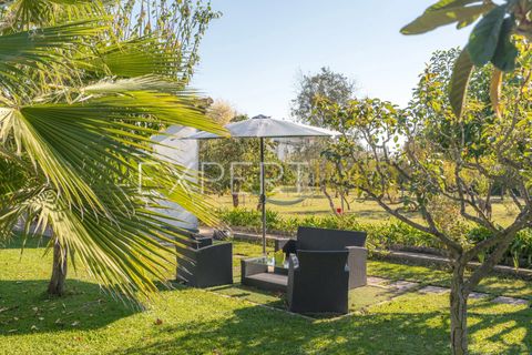 Villa a Mealhada, Aveiro, Mealhada - € 725.000 | Ref: MOR_2627_JMPE - foto 12