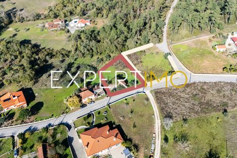 Helårsgrund i Pombal, Leiria, Pombal - € 27.500 | Ref: TER_2635_AMOT - foto 2