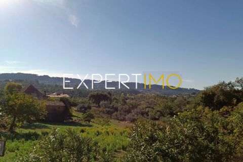 Helårsgrund i Pombal, Leiria, Pombal - € 27.500 | Ref: TER_2635_AMOT - foto 3