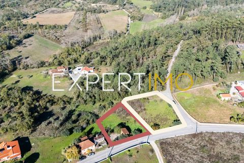 Helårsgrund i Pombal, Leiria, Pombal - € 27.500 | Ref: TER_2635_AMOT - foto 4