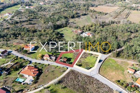 Helårsgrund i Pombal, Leiria, Pombal - € 27.500 | Ref: TER_2635_AMOT - foto 5