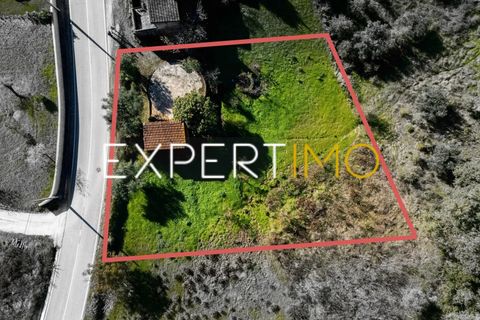 Helårsgrund i Pombal, Leiria, Pombal - € 27.500 | Ref: TER_2635_AMOT - foto 6