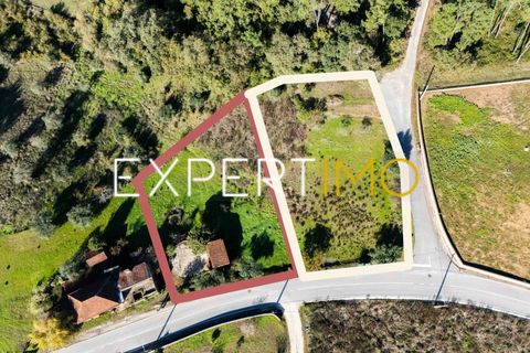 Helårsgrund i Pombal, Leiria, Pombal - € 27.500 | Ref: TER_2635_AMOT - foto 7