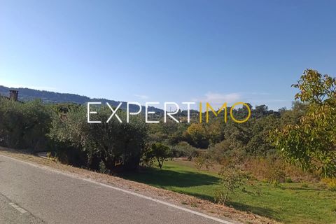 Helårsgrund i Pombal, Leiria, Pombal - € 27.500 | Ref: TER_2635_AMOT - foto 9