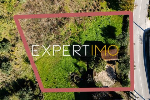 Helårsgrund i Pombal, Leiria, Pombal - € 27.500 | Ref: TER_2635_AMOT - foto 10
