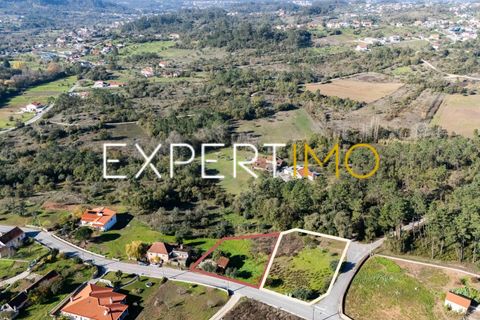 Helårsgrund i Pombal, Leiria, Pombal - € 27.500 | Ref: TER_2635_AMOT - foto 12