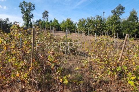 Villa i Treixedo e Nagozela, Viseu, Treixedo e Nagozela - € 93.000 | Ref: MOR_2662_AOLV - foto 20