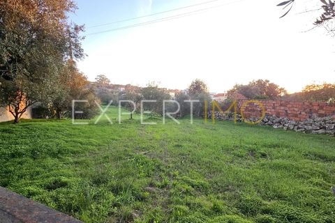 Helårsgrund i Pombal, Leiria, Pombal - € 39.900 | Ref: TER_2665_SGAS - foto 1