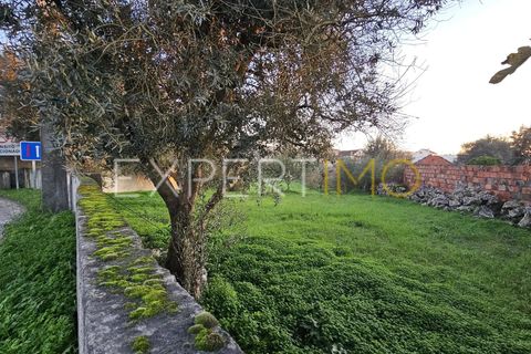 Helårsgrund i Pombal, Leiria, Pombal - € 39.900 | Ref: TER_2665_SGAS - foto 2
