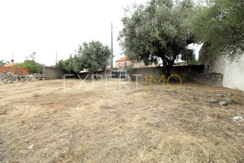 Helårsgrund i Pombal, Leiria, Pombal - € 39.900 | Ref: TER_2665_SGAS - foto 3