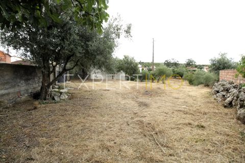 Helårsgrund i Pombal, Leiria, Pombal - € 39.900 | Ref: TER_2665_SGAS - foto 4