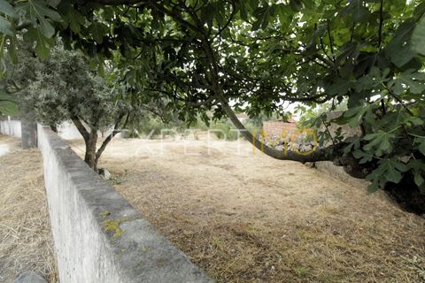 Helårsgrund i Pombal, Leiria, Pombal - € 39.900 | Ref: TER_2665_SGAS - foto 5