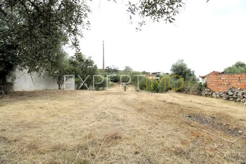 Helårsgrund i Pombal, Leiria, Pombal - € 39.900 | Ref: TER_2665_SGAS - foto 6