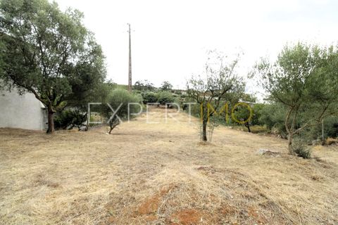 Helårsgrund i Pombal, Leiria, Pombal - € 39.900 | Ref: TER_2665_SGAS - foto 7