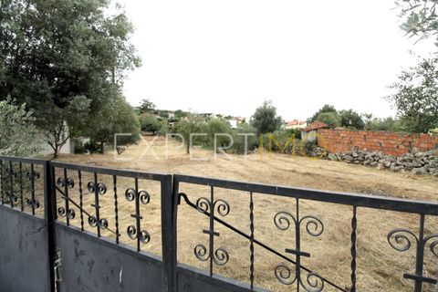 Helårsgrund i Pombal, Leiria, Pombal - € 39.900 | Ref: TER_2665_SGAS - foto 8