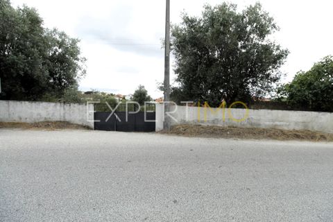 Helårsgrund i Pombal, Leiria, Pombal - € 39.900 | Ref: TER_2665_SGAS - foto 9