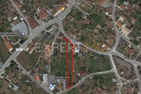 Helårsgrund i Pombal, Leiria, Pombal - € 39.900 | Ref: TER_2665_SGAS - foto 10