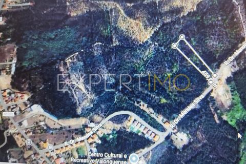 Tomt i Assafarge e Antanhol, Coimbra, Assafarge e Antanhol - € 115 000 | Ref: TRU_2685_AMOT - foto 9