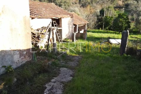 Villa i Ansiao, Leiria, Ansiao - € 59.000 | Ref: MOR_2696_SCAR - foto 10