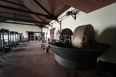 Villa a Coimbra, Coimbra, Coimbra - € 350.000 | Ref: COM_2771_JMPE - foto 2