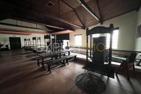 Villa a Coimbra, Coimbra, Coimbra - € 350.000 | Ref: COM_2771_JMPE - foto 3