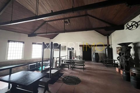 Villa a Coimbra, Coimbra, Coimbra - € 350.000 | Ref: COM_2771_JMPE - foto 8