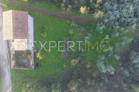 Villa a Coimbra, Coimbra, Coimbra - € 118.000 | Ref: MOR_2796_FCOI - foto 25