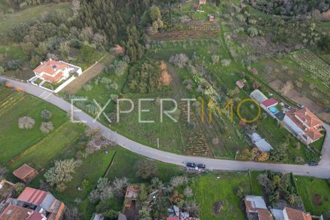 Helårsgrund i Coimbra, Coimbra, Coimbra - € 39.500 | Ref: TER_2813_FCOI - foto 4