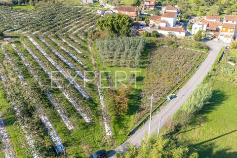 Terra a Coimbra, Coimbra, Coimbra - € 28.500 | Ref: TER_2818_FCOI - foto 2