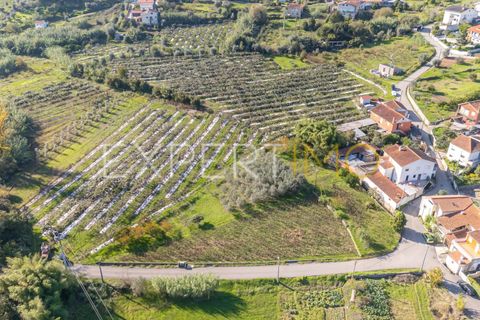 Terra a Coimbra, Coimbra, Coimbra - € 28.500 | Ref: TER_2818_FCOI - foto 4