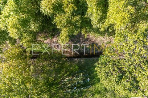 Terra a Coimbra, Coimbra, Coimbra - € 28.500 | Ref: TER_2818_FCOI - foto 6