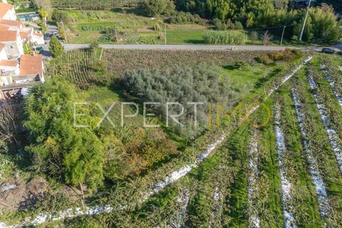 Terra a Coimbra, Coimbra, Coimbra - € 28.500 | Ref: TER_2818_FCOI - foto 8