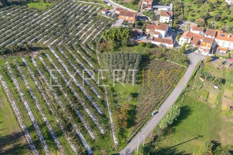 Terra a Coimbra, Coimbra, Coimbra - € 28.500 | Ref: TER_2818_FCOI - foto 9