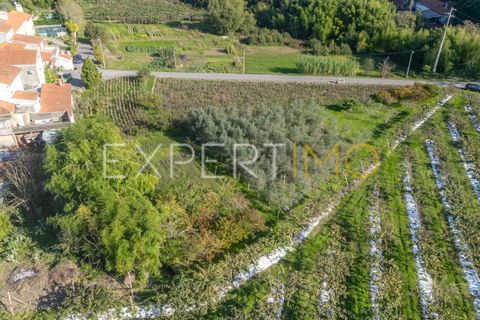 Terra a Coimbra, Coimbra, Coimbra - € 28.500 | Ref: TER_2818_FCOI - foto 10